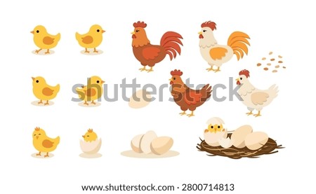 Farm chicken set. Cute little chicks, roosters, hens, eggs and nest. Poultry collection for farming, agriculture, Easter and spring design. Flat vector illustration isolated on white background.