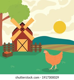 Farm chicken and tomatoes design, Agronomy lifestyle agriculture harvest and farming theme Vector illustration
