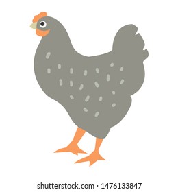 Farm chicken vector illustration. Isolated village bird vector drawing.