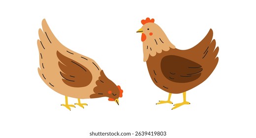 Сute Farm chickens, Bird Easter Characters. Hens. Organic farming and agriculture. Broiler Chicken farm and poultry. Meat and eggs products market or grocery store