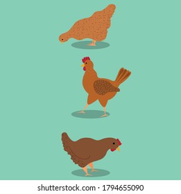 Farm chickens pattern. Suitable for children's textiles or advertising banners. Vector illustration.