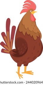 Farm cock cartoon character. Domestic chicken rooster