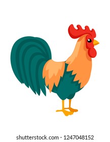 Farm cock cartoon design. Colorful farm animal bird. Flat vector illustration isolated on white background.