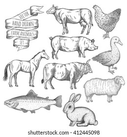 Farm collection. Bull, hen, duck, pig, horse, ram, rabbit, cow, salmon. Hand drawn isolated illustrations.