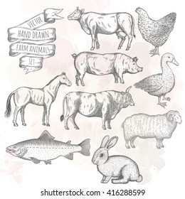 Farm collection. Bull, hen, duck, pig, horse, ram, rabbit, cow, salmon. Hand drawn isolated illustrations.