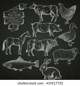 Farm Collection. Bull, Hen, Duck, Pig, Horse, Ram, Rabbit, Cow, Salmon. Hand Drawn Isolated Illustrations.