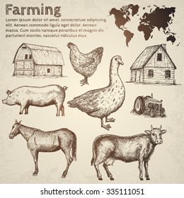 Farm collection. Hand drawn isolated elements.