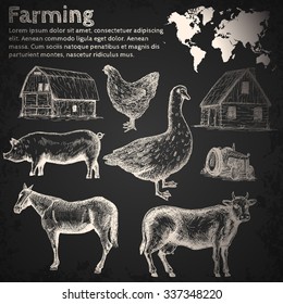 Farm collection. Hand drawn isolated elements.