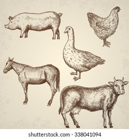 Farm collection. Hand drawn isolated elements.