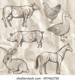 Farm collection. Hand drawn isolated elements.