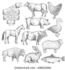 Farm collection. Hand drawn isolated illustrations.