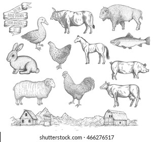 Farm collection. Hand drawn isolated illustrations.