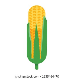 Farm corn icon. Isometric of farm corn vector icon for web design isolated on white background