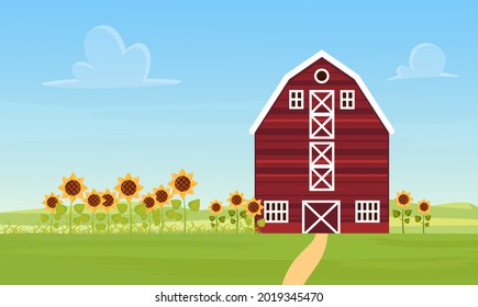 Farm countryside landscape with ranch barn, sunflower field vector illustration. Cartoon agricultural panorama scenery, road to rustic farmhouse building, sunflowers grow on farmland background