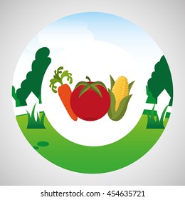 farm countryside vegetable isolated, vector illustration eps10