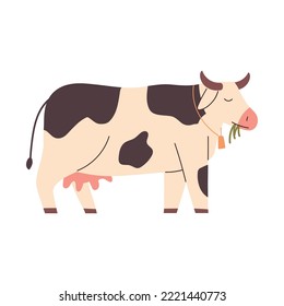 farm cow animal icon isolated
