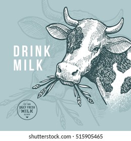 Farm cow design template. Milk delivery. Cow illustration. Vector illustration