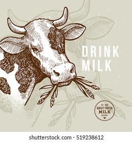 Farm cow design template. Milk delivery. Cow illustration. Vector illustration