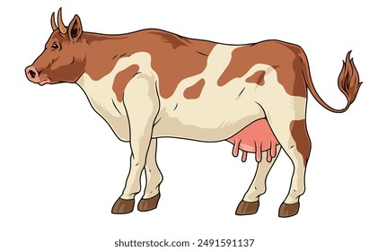 Farm cow detailed sticker colorful with full udder ready for milking and getting tasty milk vector illustration