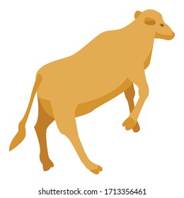 Farm cow icon. Isometric of farm cow vector icon for web design isolated on white background
