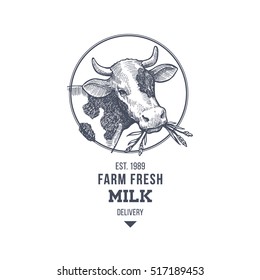 Farm cow vintage logo. Cow illustration design template. Vector illustration