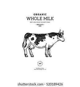 Farm cow vintage logo. Cow illustration design template. Vector illustration