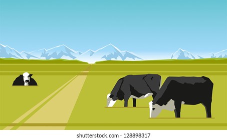 Farm cows grazing on a green lawn