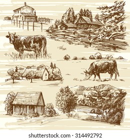 Farm, cows, rural landscape - hand drawn set