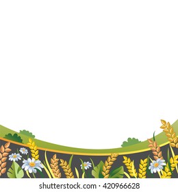 Farm cultivation. Wheat or Rue Ears field. Green grass, white daisies, trees. Humus Soil vector illustration. Summer rural Landscape. Countryside.