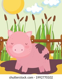 farm cute pig in the mud
