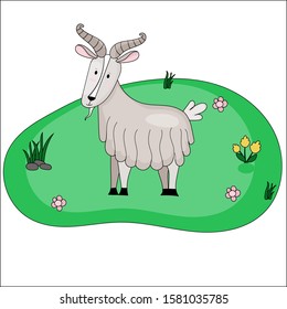 Farm cute vector goat on meadow. Illustration in flat cartoon style.