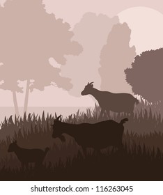 Farm dairy goats vector background in a field