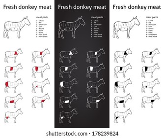 Farm Donkey meat parts Icons for packaging and info-graphic  