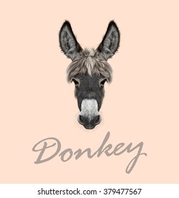 Farm Donkey portrait. Vector illustrated portrait of grey Donkey on pink background.