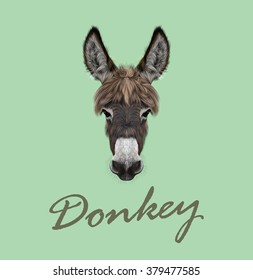 Farm Donkey portrait. Vector illustrated portrait of brown Donkey on green background.