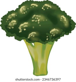 Farm Elements - Green Broccoli