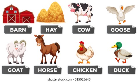 Farm elements with picture and word illustration