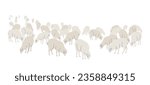 Farm ewes isolated on white background. Flock of grazing sheep simple vector flat illustration.