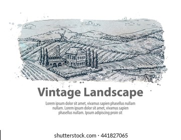 Farm, farming. Hand-drawn sketch rural landscape. Vineyard vector illustration