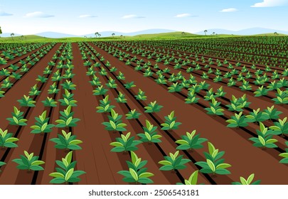 Vector de fondo de campo de la granja, plantas en líneas de fondo