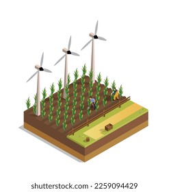 Farm field of corn. Man and woman harvest, natural and organic products. Windmills alternative source of energy. Countryside and village. Cartoon isometric vector illustration