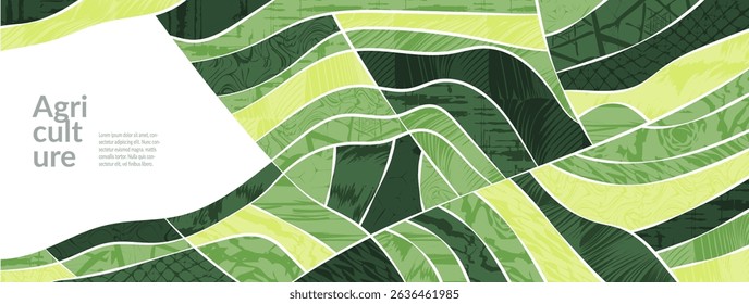 Farm field landscape with agriculture pattern of rice and vineyard, abstract green background, nature texture. Organic hills, tea plantation, valley panorama, eco paddy, spring harvest, vineyard view