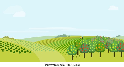 Farm field landscape. Rural scenery with fruit garden, corn-clad field small hill illustration. Vector tractor working on green grass farmland. Countryside pasture panorama. Farming background
