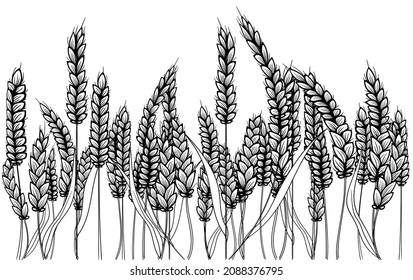 Ilustración de línea de campo de granja. Silueta negra dibujada a mano por vectores de las orejas de trigo fijadas. Montón de cebada de grano. Diseño de pancartas. Ilustración de cebada al estilo vintage. Grano de trigo, granulado, grano, avena.