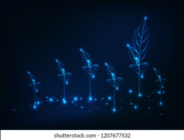 Farm field with new sprouts. Agriculture concept. Glowing low poly wireframe background on dark blue. Vector illustration. 