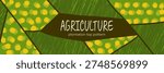Farm field vineyard with view pattern abstract for texture plantation top. Agriculture rice tea with farmland soil landscape for green art agro. Grass grassland farm with paddy view grape.