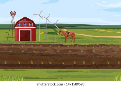Farm fields Vector. Countryside Label layout template