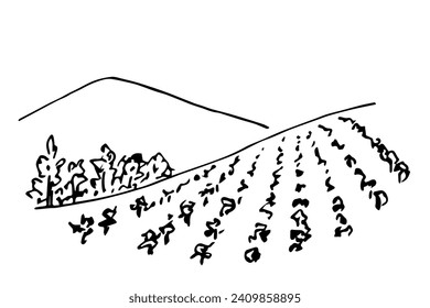 Farm fields, vineyard, hills and mountains. Simple vector drawing with black outline. Wine list, label, winemaking.