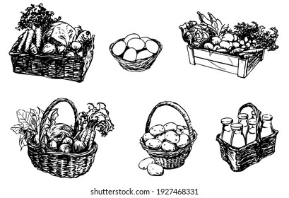 farm food in a basket - food, set of hand-drawn illustrations, vector