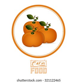 Farm Food  concept with healthy products design, vector illustration eps 10